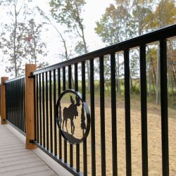 Black Wrought Iron Custom Railing with Nature-Scape